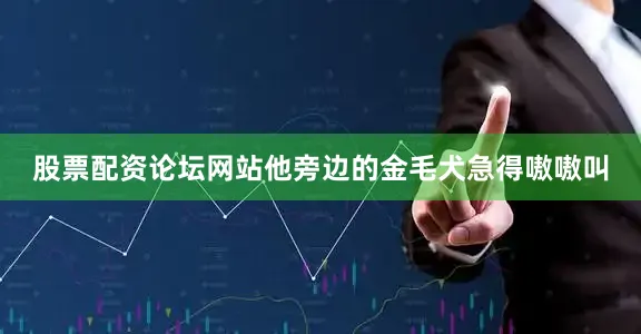 股票配资论坛网站他旁边的金毛犬急得嗷嗷叫