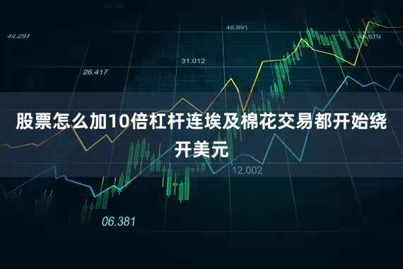 股票怎么加10倍杠杆连埃及棉花交易都开始绕开美元