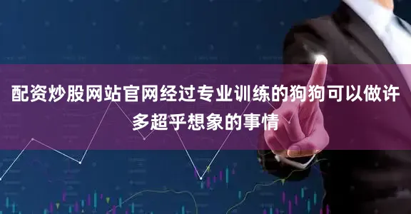 配资炒股网站官网经过专业训练的狗狗可以做许多超乎想象的事情